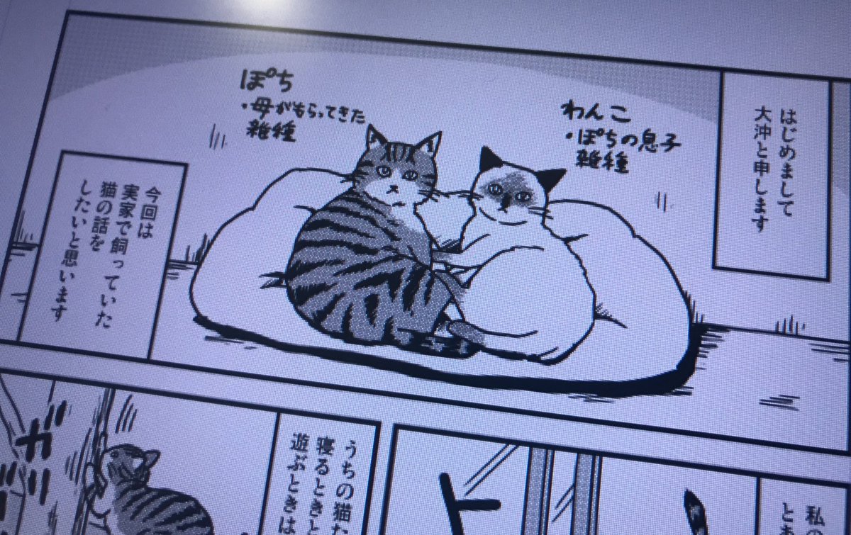 4／16発売、秋水社「ねことも」2019年6月号の猫リレー漫画に実家の猫の話を2ページ描かせていただきました。よろしくね

 