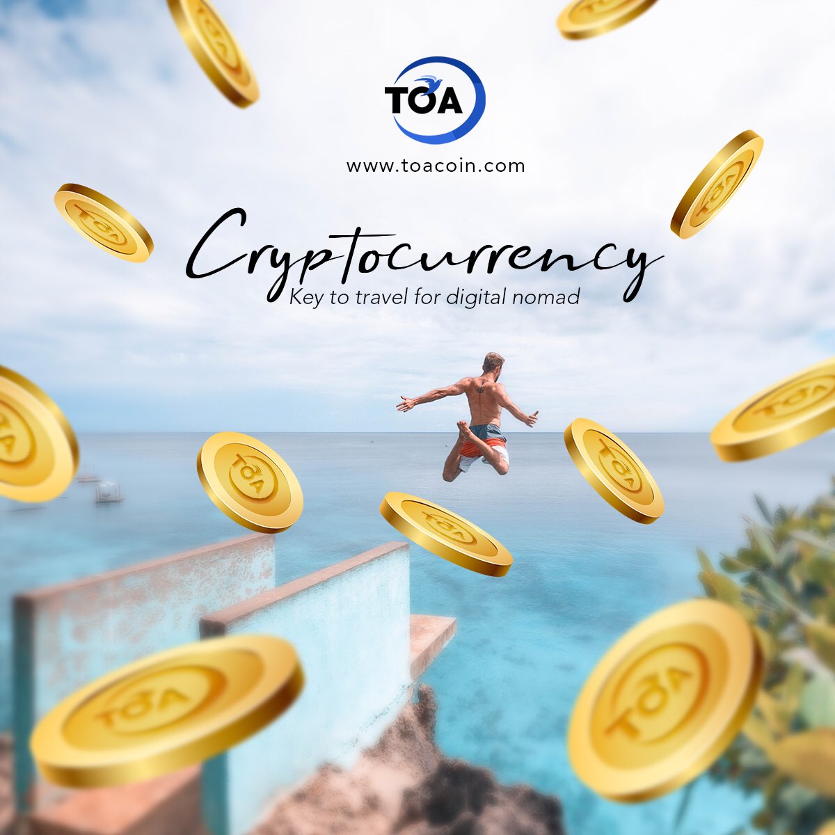 TOA Coin tweet media