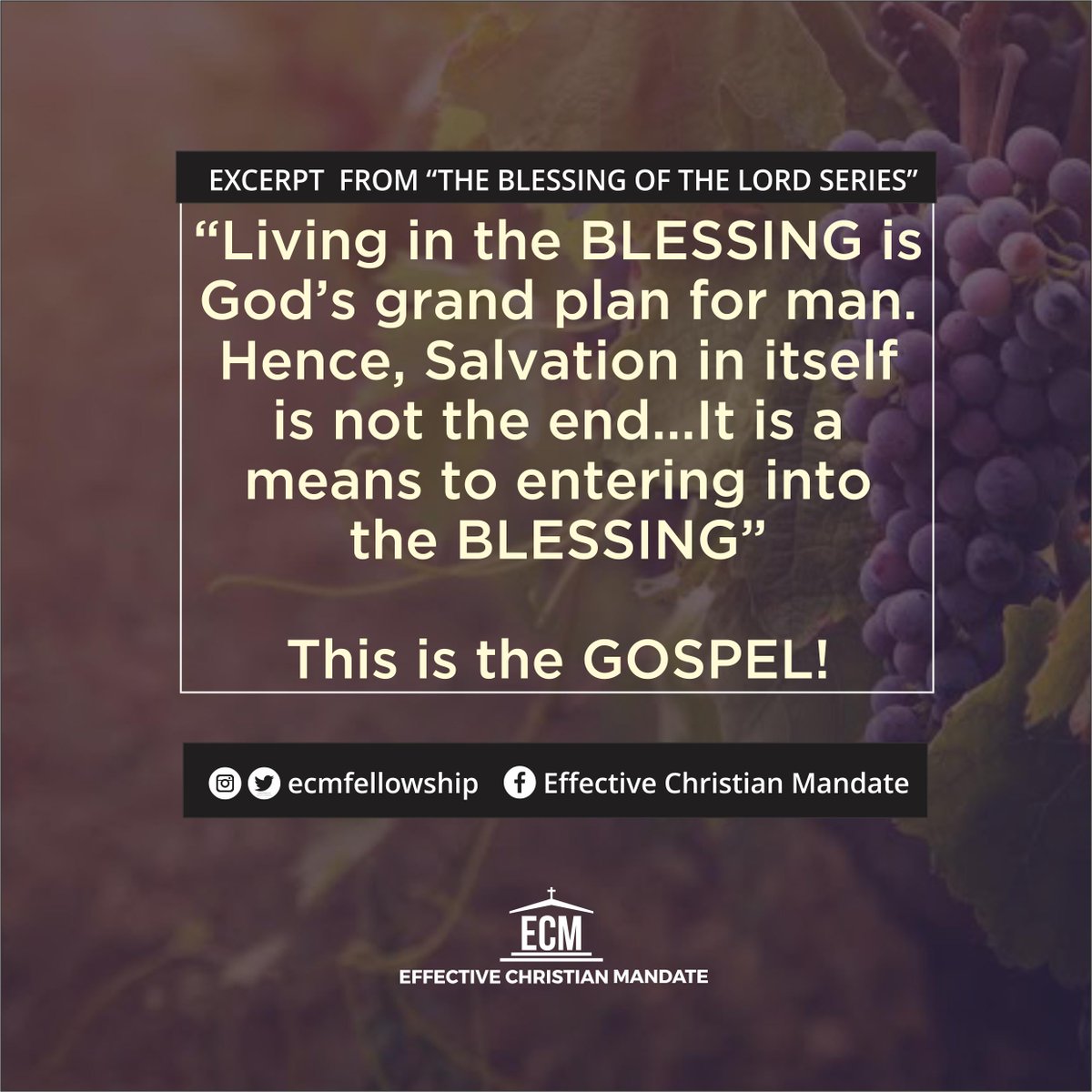ecmfellowship's tweet photo. Perhaps  we've come to believe that Jesus' death on the cross is the big deal  but that's not the full package; that's not the full gospel
 https://t.co/V6lL4kQ0ua https://t.co/IDkrGjxHnJ
