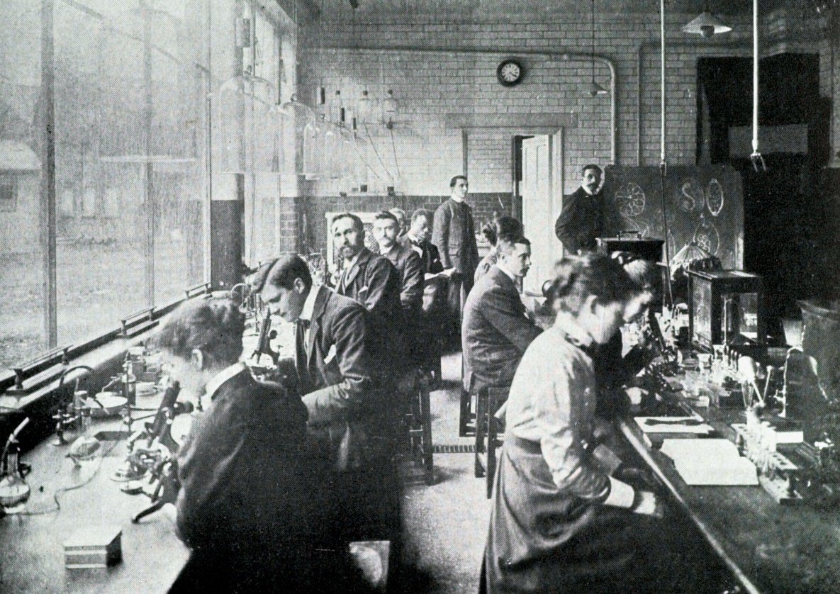 London School of Hygiene & Tropical Medicine tweet media