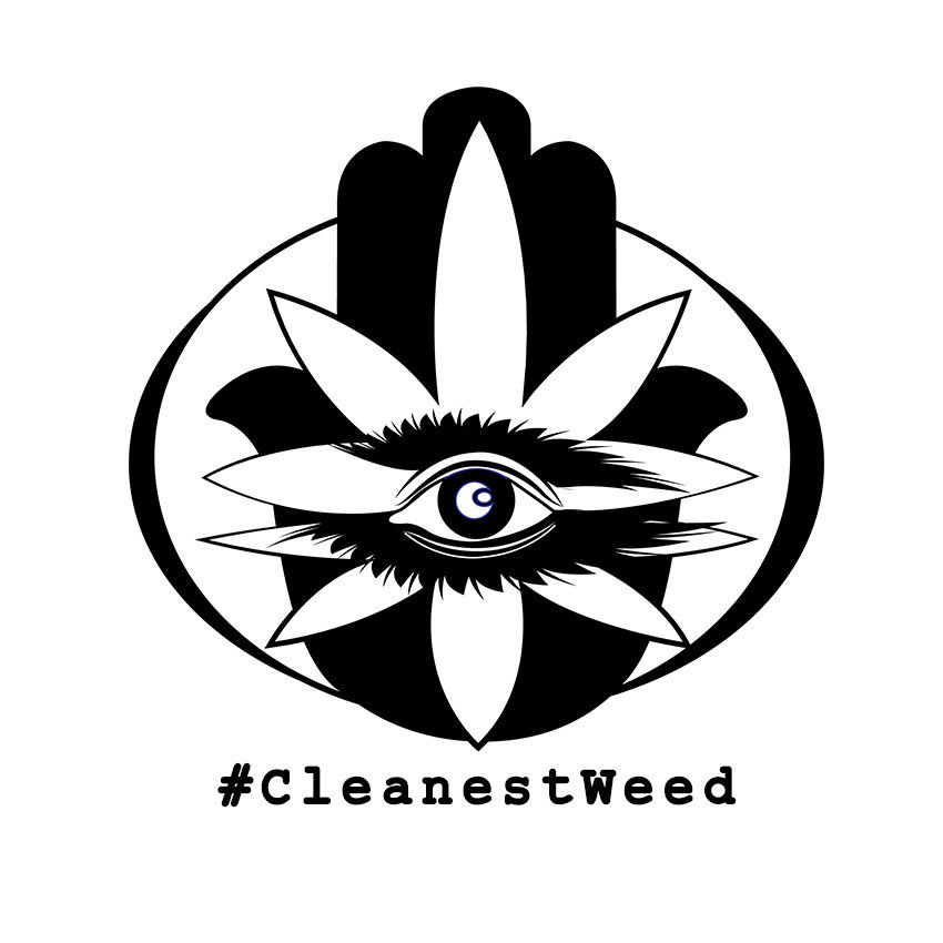 CleanestWeedUSA's tweet photo. Focus Group Time:
Please RT and Share.
Which design is your favorite #CleanestWeed look?
Black & White #Rasta or #Yogi
Answer in the comments and RT RT RT PLEASE!
#MondayMotivation #FocusGroup #TwitterPoll #FentanylChina #FentanylCrisis https://t.co/30nExevHeI