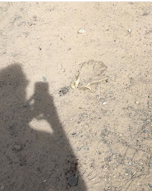 B1gDaddyP's tweet photo. Found this today. Did someone lose their glove https://t.co/ON8BPkPpsn