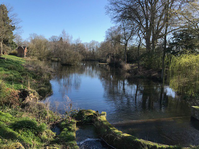 StokesayCourt's tweet photo. Happy Easter, #HerefordHour The grounds at Stokesay Court are filling with greenery and blossom: come for one of our guided tours and enjoy afternoon tea and a stroll in the garden afterwards! Visit our website for details: https://t.co/A5ysoF2nLY https://t.co/WZ3LXd9AqC