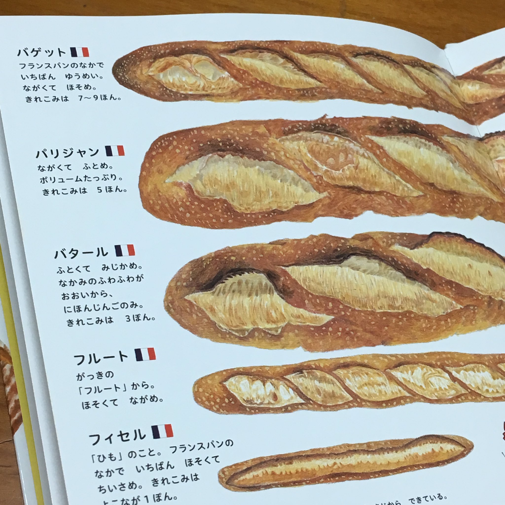 菓子工房シュクルリ En Twitter 最近息子のお気に入りの絵本 パンのずかん これ めっちゃ絵が本格的 食パンとか写真かと思ったし バケットとかバタールとかの違いとか大人でも知らん人のが多いやろw いやー お父さんも勉強になるなぁ