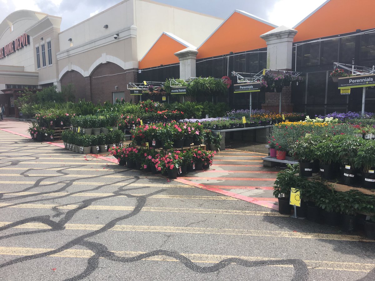 Denise Jenerette tweet media