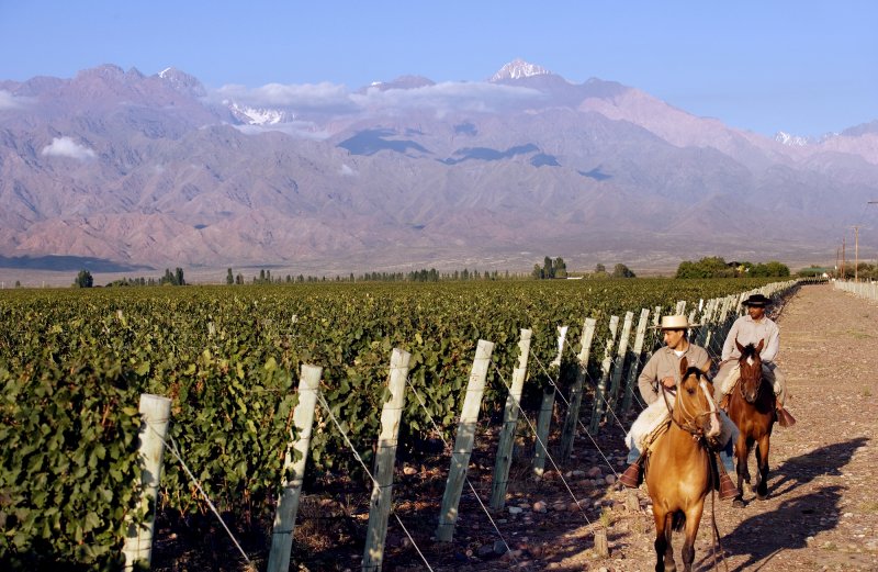 FebvreWines's tweet photo. @BgaPiedraNegra is this weeks #FeaturedProducer, the very first wine producer to see the potential of #Argentina's Alta Uco Valley, sitting at the foot of the mighty #AndesMountains.
Their Gran Mablec 2013 received 90 points from Decanter.
#MalbecArgentino #DrinkAware https://t.co/cIR4wC7pAw