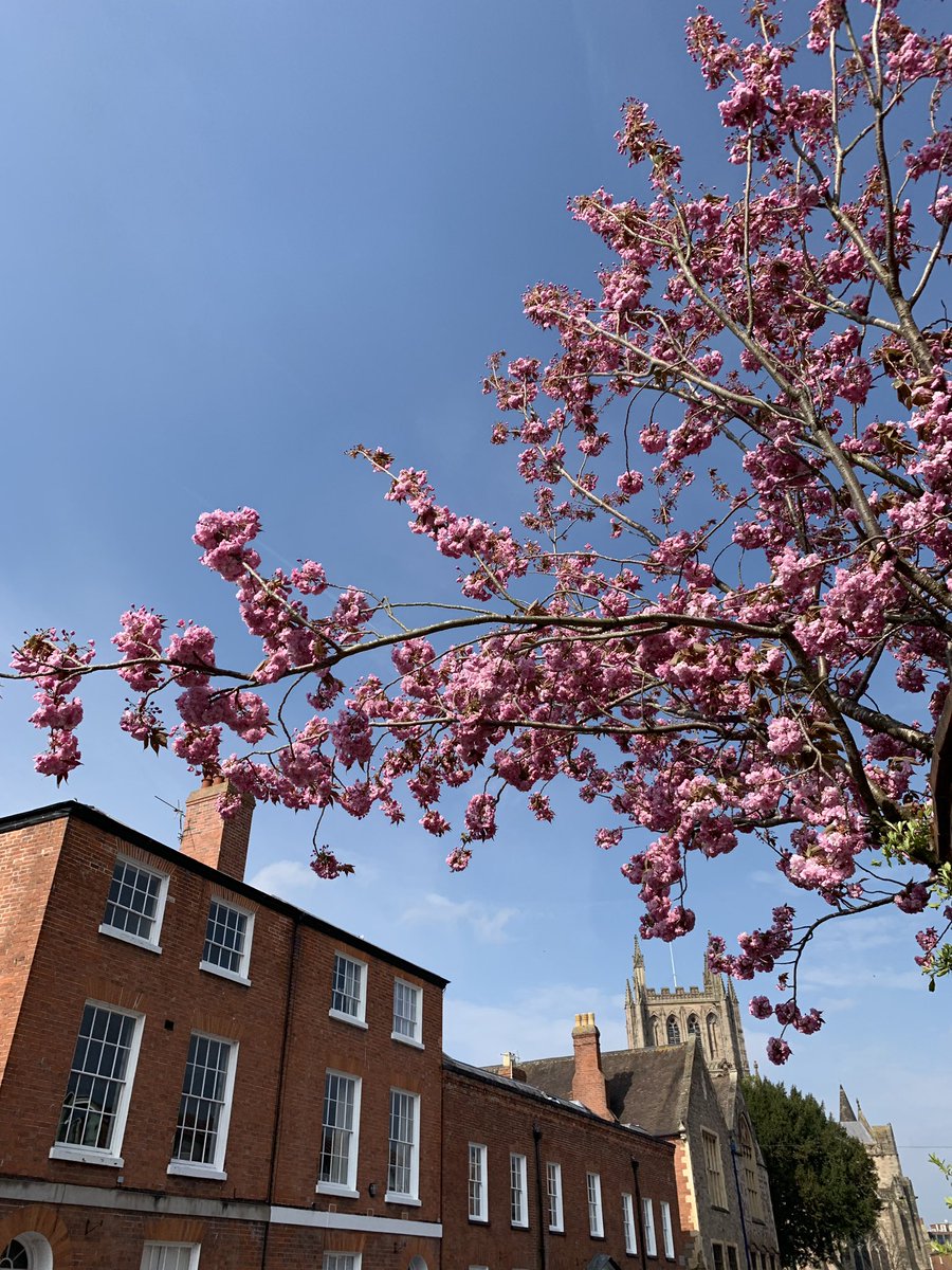 Good afternoon #herefordhour on this beautiful Monday ☀️ sounds like the weather is set to last for Easter! 🤞🏽#rentmyhouse