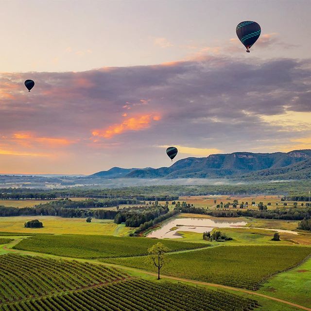 Filippo Rivetti tweet media