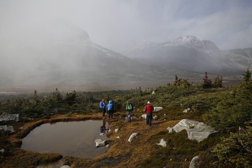 YohoAdventures's tweet photo. "Getting high in the clouds, alpine hiking where majestic mountains soar in British Columbia." https://t.co/gg8wxHSzAe #WildernessTravel #AdventureTravel #Canada #BCAdventureTours #BritishColumbia #CanadianWildernessTours #BestHikingTripsBC #CanadianWildernessAdventureTravel https://t.co/oHosQ2bl2c