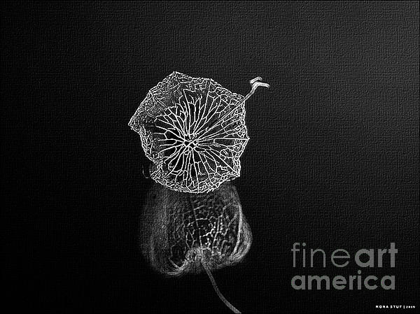 MonaStut's tweet photo. New artwork for sale! - "Copper Filigree Neutral" - https://t.co/YpMzBzHD8O @shoppixels https://t.co/B5qiUgUdEj