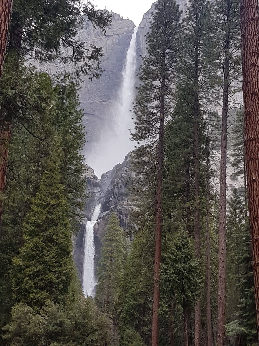 camundson1's tweet photo. Stopped @YosemiteNPS on my journey to the #GrandCanyon and took a few shots whilst #walking. An incredibly beautiful place with some fantastic trails. https://t.co/WvYwvgqX6H