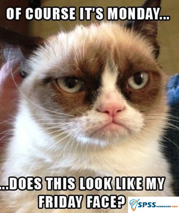 JyotsanaKumari9's tweet image. Mondays can be long and boring especially if you have an #SPSSassignment that needs completion. Fortunately, our #SPSSexperts can help transform your Mondays into Fridays. We can do that assignment for you so you don't have to worry about it no more. #SPSSHomeworkHelp #SPSShelp