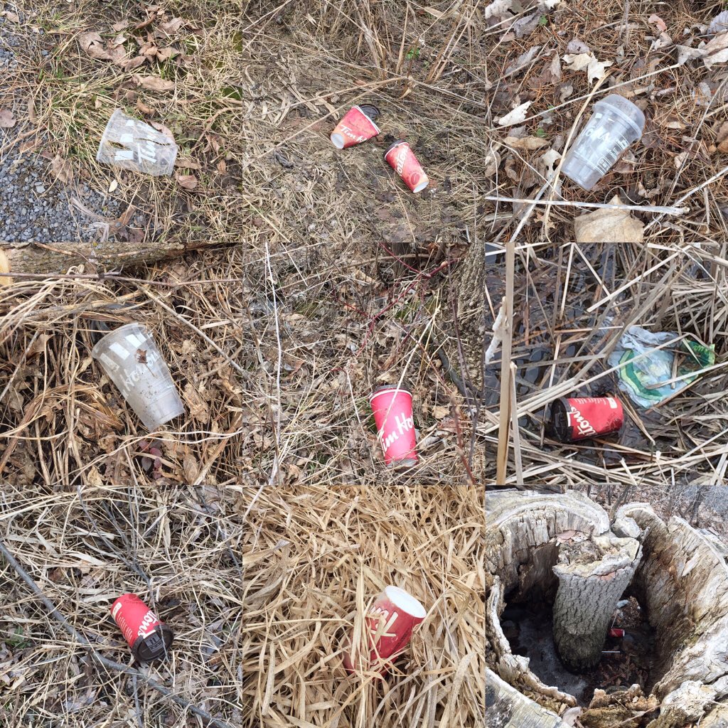 twitandrewking's tweet photo. A 45 min walk through a beautiful  riverside park yesterday revealed lots of tossed Tim Horton’s cups. 

Maybe @TimHortons should start charging an extra 25c Tim’s Tax on their plastic lidded cups because their clients are lazy litterbugs &amp; donate revenue to cleanups? 🤷‍♂️ https://t.co/SNA3mwWIdX