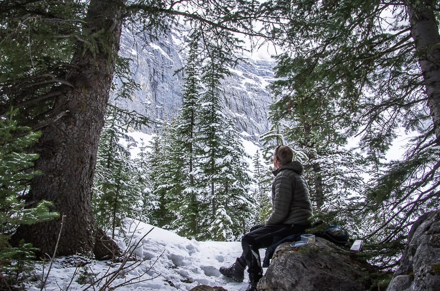 hikebiketravel's tweet photo. 5 early season mountain hikes near #Calgary https://t.co/zNbmyFIstC #yycliving #hiking https://t.co/4ab3KwmlD4