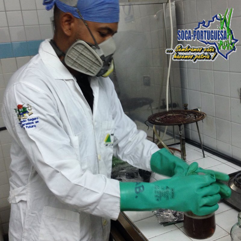 Socaportuguesa's tweet photo. En Socaportuguesa y cada una de sus filiales, todos estamos comprometidos
En #probioagro nuestros trabajadores realizan dia a dia una labor de excelencia para agregar valor a la producción de productos biológicos que aporten al cuidado y rendimiento de la caña de azúcar #15Abr https://t.co/RZOCbNI3lY
