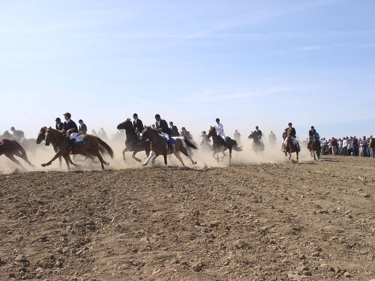 Wij tellen alvast af naar volgende maandag! De jaarlijkse paardenprocessie in Hakendover! Meer info kan je vinden via deze link: pp-h.be #Paasmaandag #paardenprocessie #Hakendover