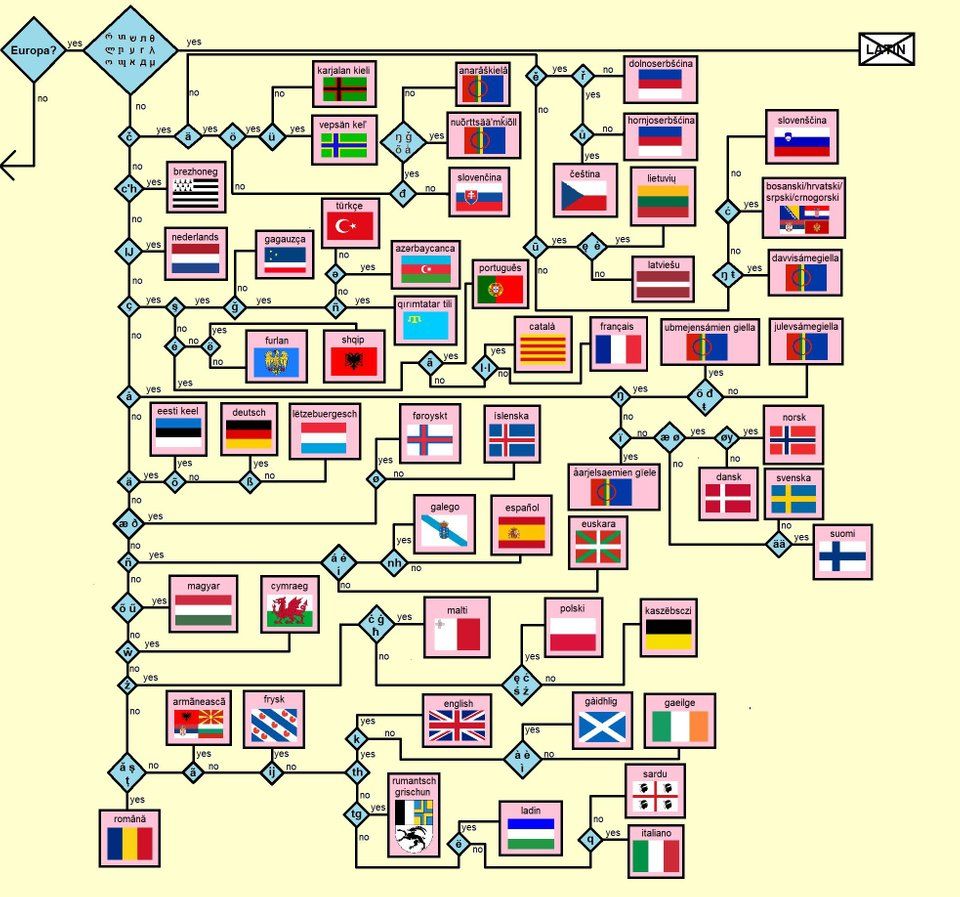 Flow Chart On Establishment Of Languages