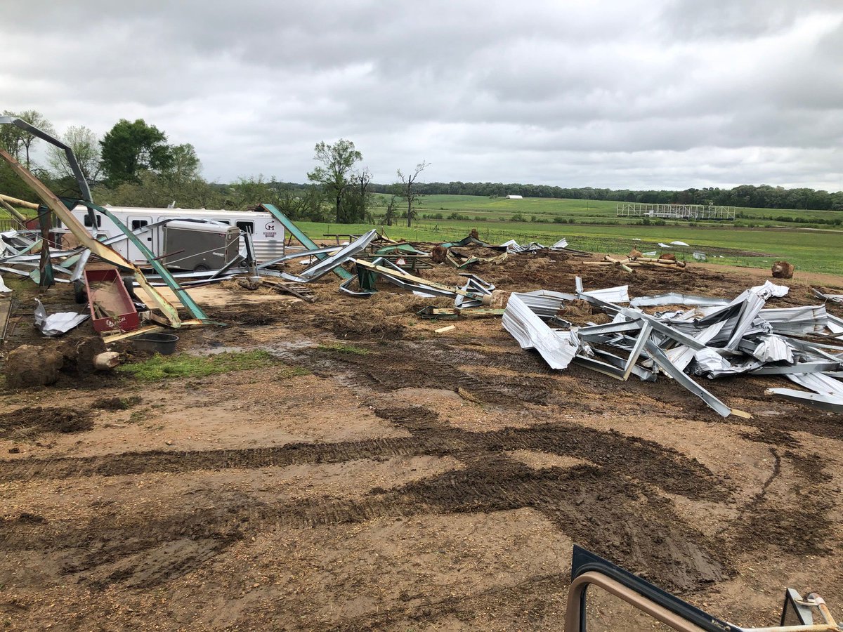 MSU CALS/MAFES tweet media