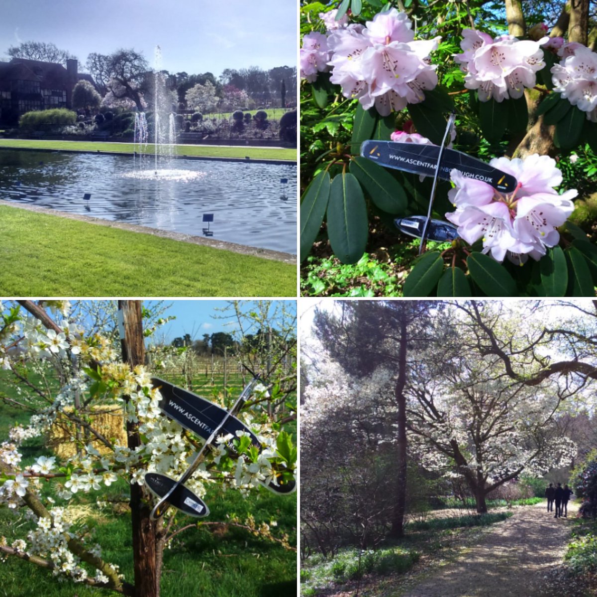 AerospaceFbough's tweet photo. The #ascentglider was at @RHSWisley over the weekend, did you visit any of our beautiful gardens displaying their Spring Flowers? @The_RHS #gardenstovisit #visitsurrey #visithampshire #Wellbeing #wellness #weekendwalks #weekendvibes #featuregarden #waterfeature #freshair #spring https://t.co/Ux4h7lVBwS