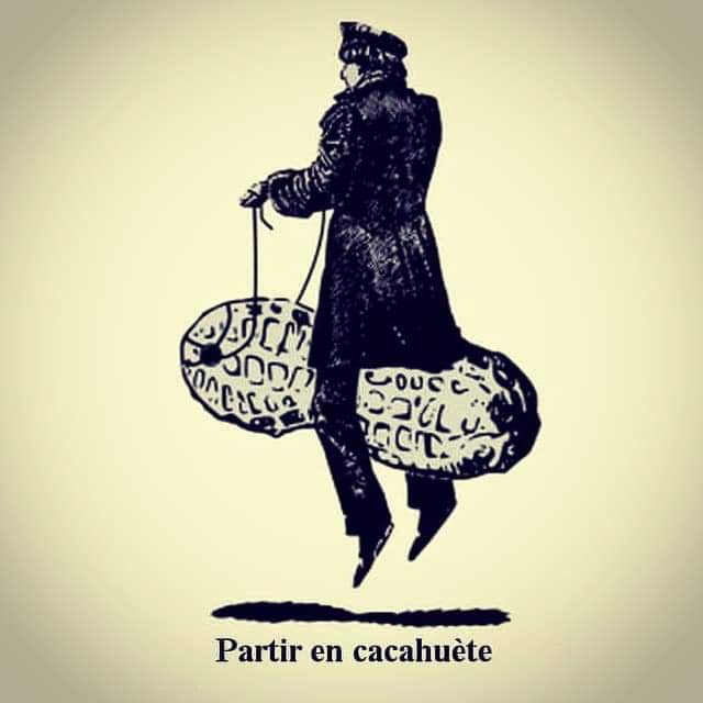 Aurélia tweet media