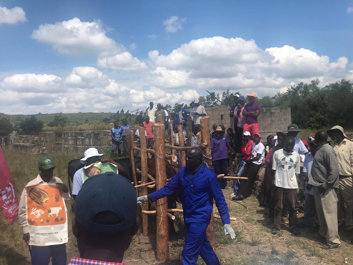 SARRSBeef's tweet photo. Clear evidence from the January Disease Awareness meetng shows that smallholder farmers hve an immense desire to learn hw to improve animal health. Our convictions  tht at e centre of sustainable beef prodn for our region is e smallholder farmer, are not misplaced @Makera_Cattle https://t.co/Ij3uzn4aE3