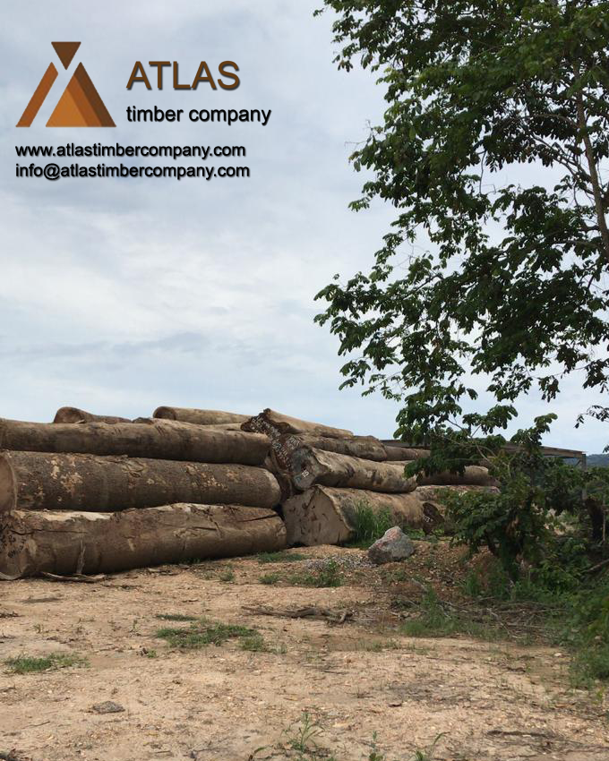 TimberAtlas tweet picture