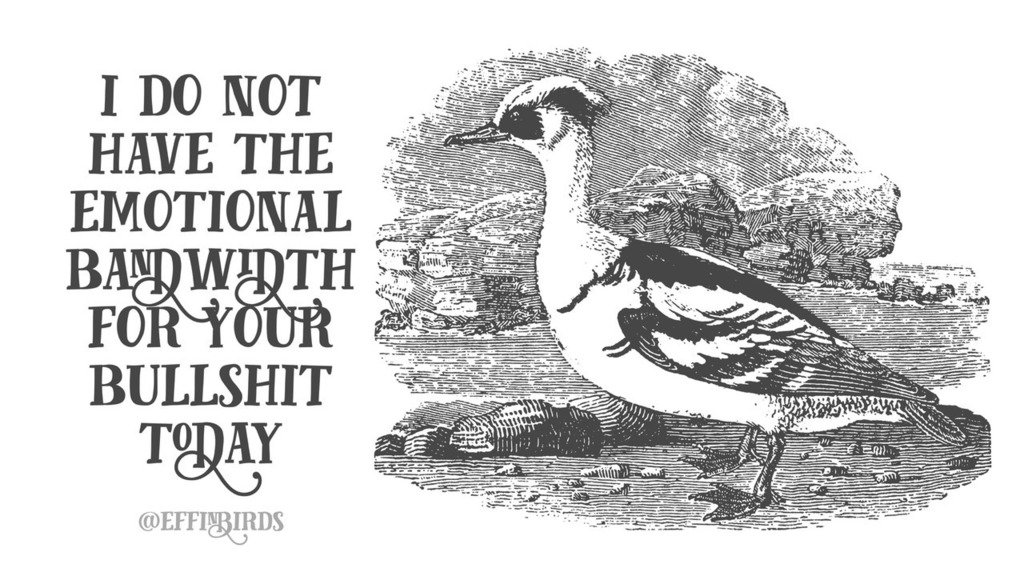 Effin' Birds (@effinbirds) on Twitter photo 