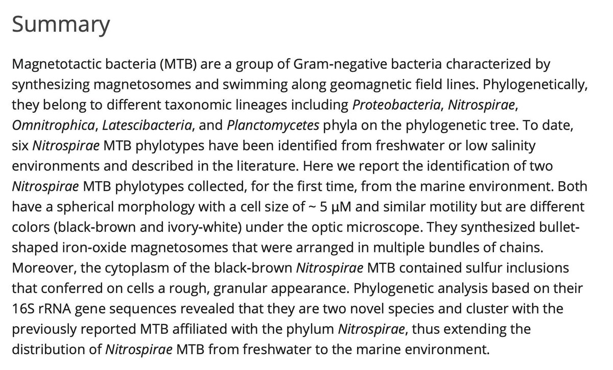 @envmicrorep (@envmicrorep) on Twitter photo Identification of novel species of marine #magnetotactic #bacteria affiliated with #Nitrospirae phylum <a href="/envmicrorep/">@envmicrorep</a>
onlinelibrary.wiley.com/doi/abs/10.111… Identification of novel species of marine #magnetotactic #bacteria affiliated with #Nitrospirae phylum <a href="/envmicrorep/">@envmicrorep</a>
onlinelibrary.wiley.com/doi/abs/10.111…