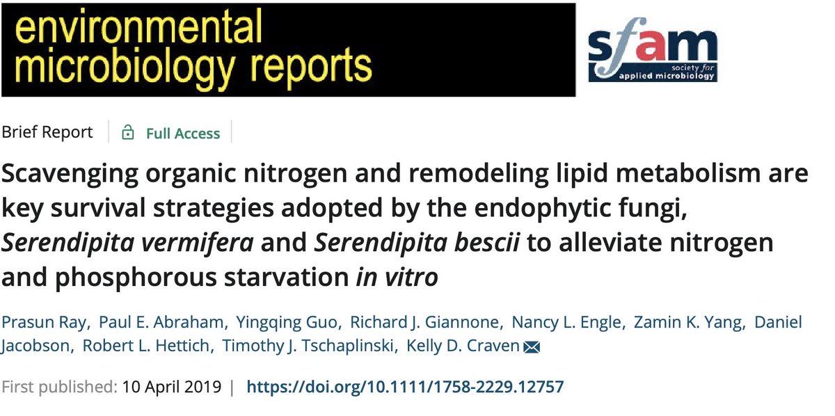 envmicrorep's tweet photo. Scavenging organic #nitrogen and remodeling lipid metabolism are key survival strategies adopted by the endophytic Serendipita fungi to alleviate nitrogen and phosphorous starvation in vitro
@envmicrorep @envmicro @SfAMtweets
https://t.co/xLR7UATONU https://t.co/v8IMkKZqA0