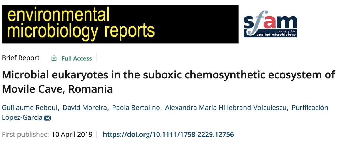 envmicrorep's tweet photo. Microbial eukaryotes in the #suboxic #chemosynthetic ecosystem of Movile Cave, Romania #anaerobic #microbiology #microbial #ecology @envmicro @envmicrorep @SfAMtweets
https://t.co/ROZap7V4m3 https://t.co/LqtqiZa4li