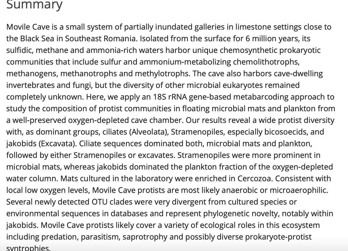 @envmicrorep (@envmicrorep) on Twitter photo Microbial eukaryotes in the #suboxic #chemosynthetic ecosystem of Movile Cave, Romania #anaerobic #microbiology #microbial #ecology <a href="/envmicro/">envmicro</a> <a href="/envmicrorep/">@envmicrorep</a> @SfAMtweets
onlinelibrary.wiley.com/doi/abs/10.111… Microbial eukaryotes in the #suboxic #chemosynthetic ecosystem of Movile Cave, Romania #anaerobic #microbiology #microbial #ecology <a href="/envmicro/">envmicro</a> <a href="/envmicrorep/">@envmicrorep</a> @SfAMtweets
onlinelibrary.wiley.com/doi/abs/10.111…