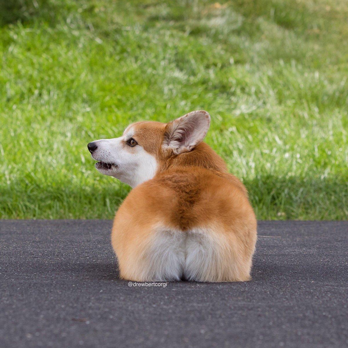 Oops, got caught looking.

#Drewbert #Bunbert