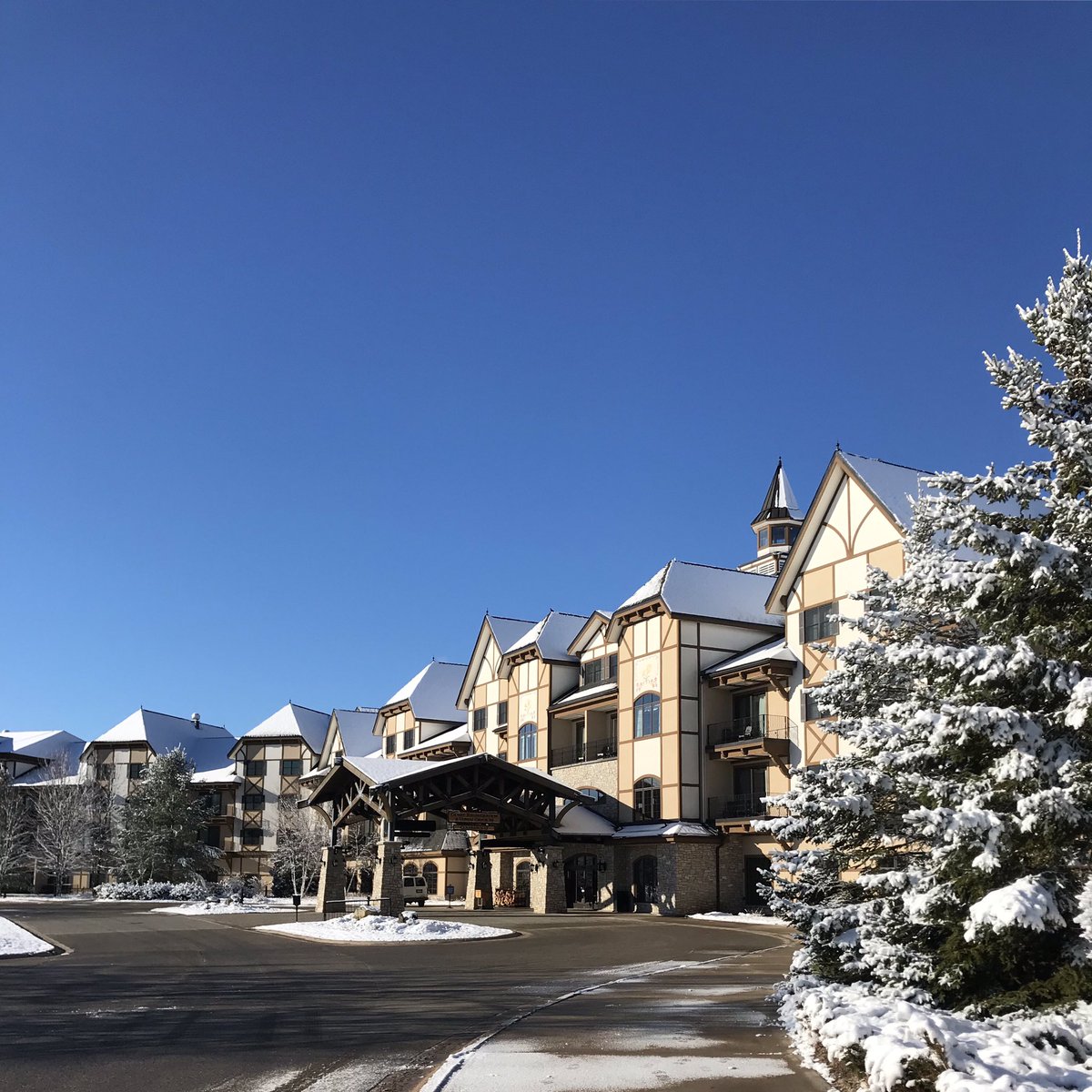 This week’s off to a good start! ☀️ 🐦