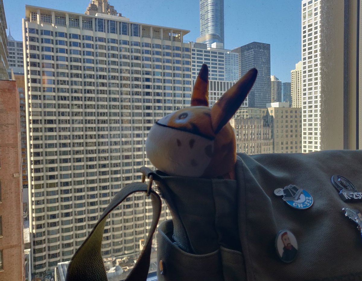 Back in the old bag for a bit of last day exploring at  #StarWarsCelebration, before it's time to head home.  #LothCatAtSWCC