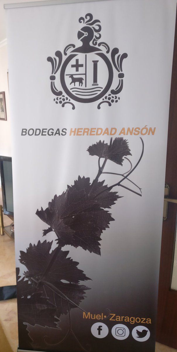 HeredadAnson's tweet photo. Estrenando Roll-up! #wine #AragónTurismo @RVCAMPOCARINENA @vino_piedras @Eno_Aragon https://t.co/Wyo3ulRsPk