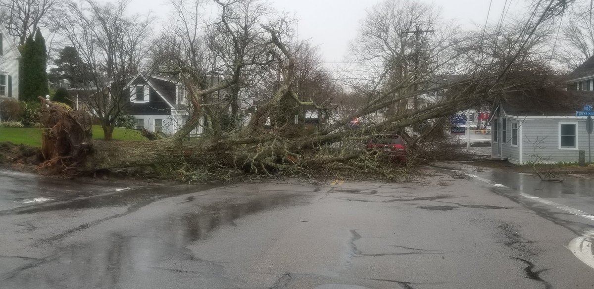 Due to high winds, two large trees have fallen at the intersection of Main St. &amp; West Bay Rd. in Osterville.  Barnstable police along with utility crews are in the process of managing the scene.  This intersection is closed to traffic until further notice.