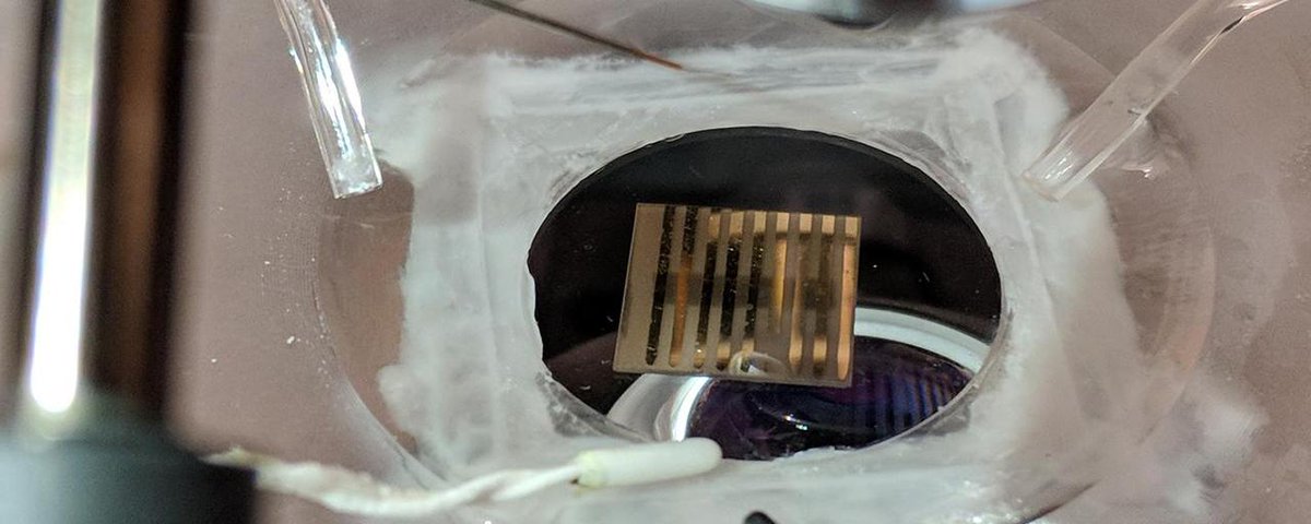 OCDigitalHealth's tweet image. New #QuantumMaterial Could Warn of #NeurologicalDisease ow.ly/qCws30oq5Vw #Parkinsons