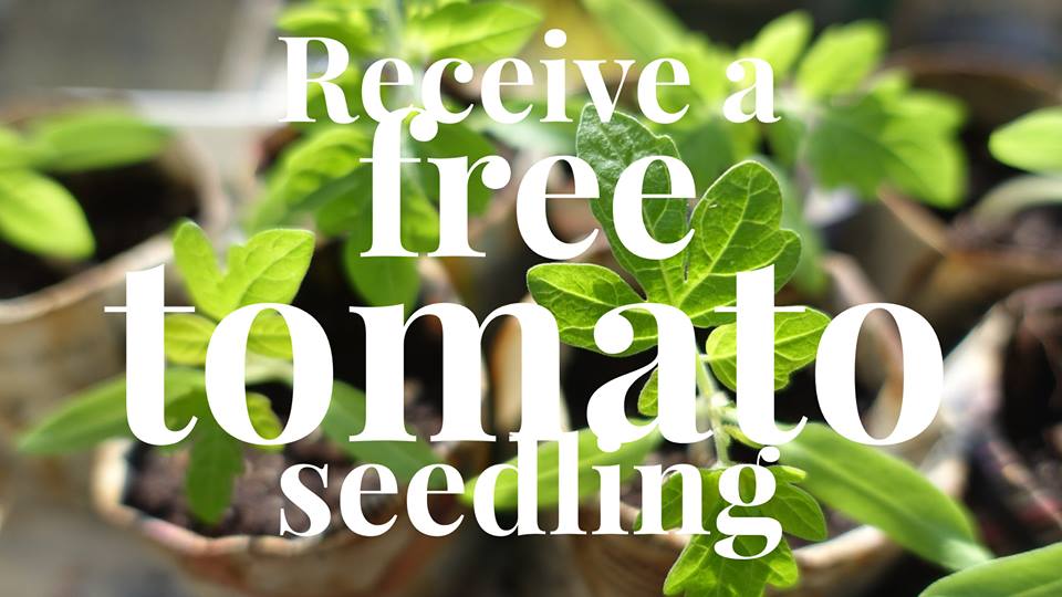 🍷🌿EXTENDED TILL 12!  RSVP NOW! FREE WINE, FREE TOMATO SEEDLING AND DINNER. - mailchi.mp/e18f0db14e35/l…