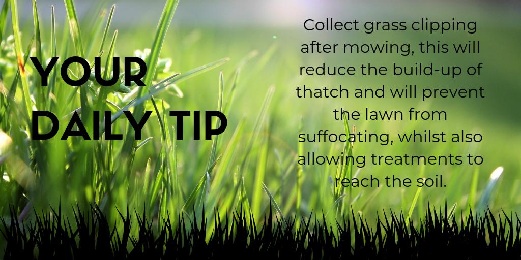 Lawntechuk's tweet image. Todays #dailytip will surely be up for debate, what do you think? #Lawntech #lawncare #gardeningtips #lawns