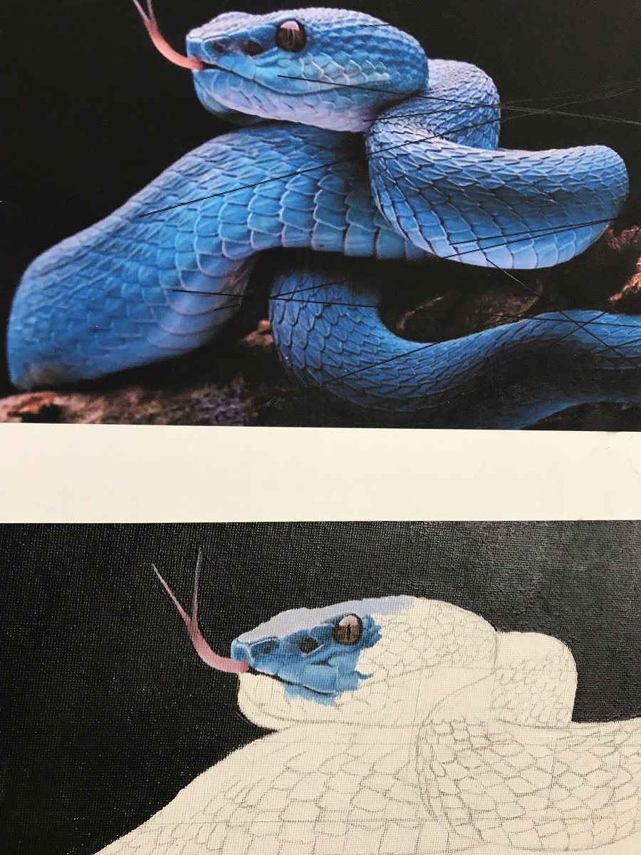 Painting I student getting after it! #shesallin #acrylicpainting