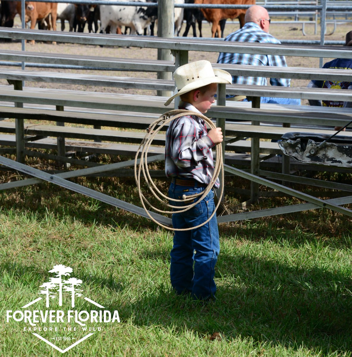 _ForeverFlorida's tweet photo. There is something for every age here at Forever Florida! From trail buggy tours to zipline roller coasters, find the perfect adventure for you and your little cowboy on our website! Our grand re-opening is Saturday, April 27th! https://t.co/zdO5zEiMqv https://t.co/qJKGsrIGFm
