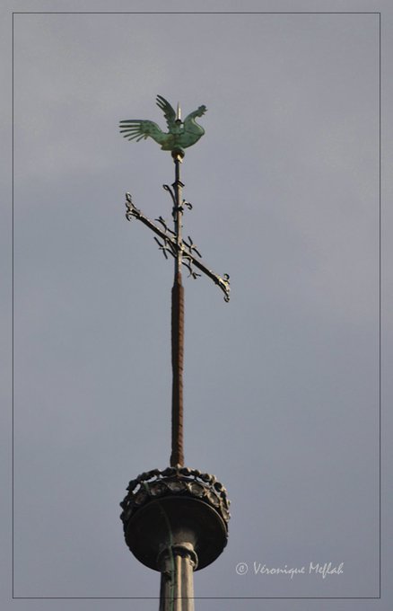 Voir l'image sur Twitter