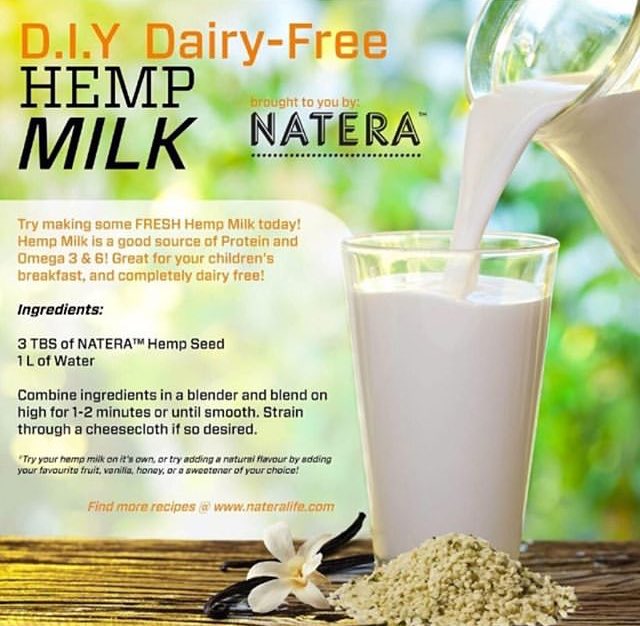 nateralife's tweet image. Dairy free, creamy, ice cold #HempMilk is perfect for your recipes, smoothies and more! Made with love &amp;amp; @nateralife  #Hempseed! #ItsForEveryBody