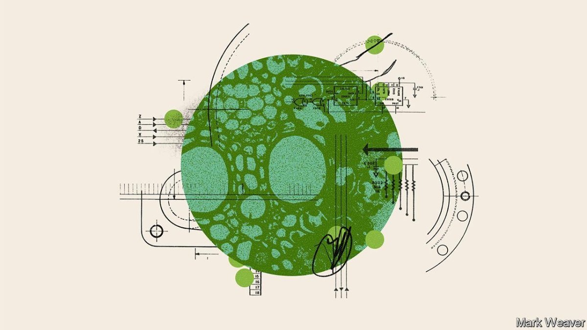 OpenFieldCap's tweet image. @OpenFieldCap is proud that one of our private investments, @Berkeley_Lights, was mentioned in last week's cover story at @TheEconomist  "The engineering of living organisms could soon start changing everything"  bit.ly/OFCblgt  ofcap.com/d #ofcap