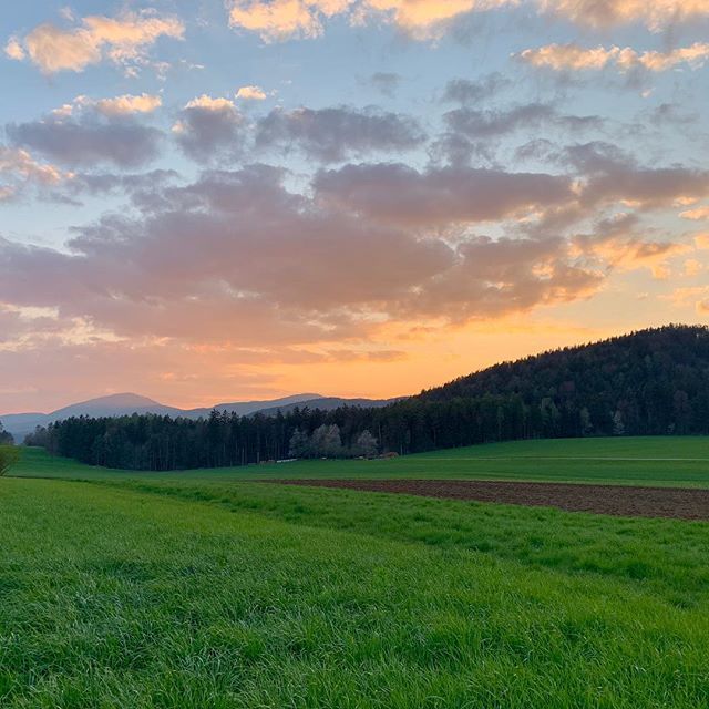 Download Gescheite Desktop Wallpaper Free