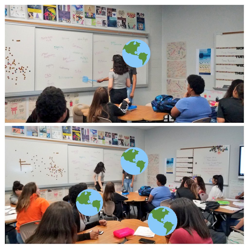 MsEmilyEElliott's tweet image. APHG Ss play to win #flyswatter review in @AnkneyGeoPHS&apos;s AP Human Geography class @PaetowHS #Unit7 #UrbanPatterns