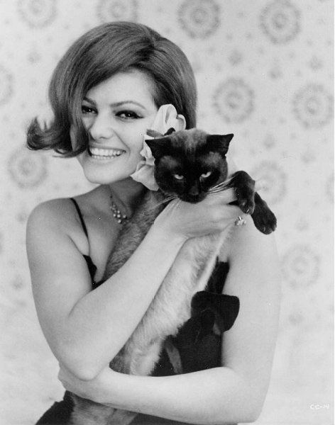 Oldhollywoodz: Happy birthday to Claudia Cardinale 