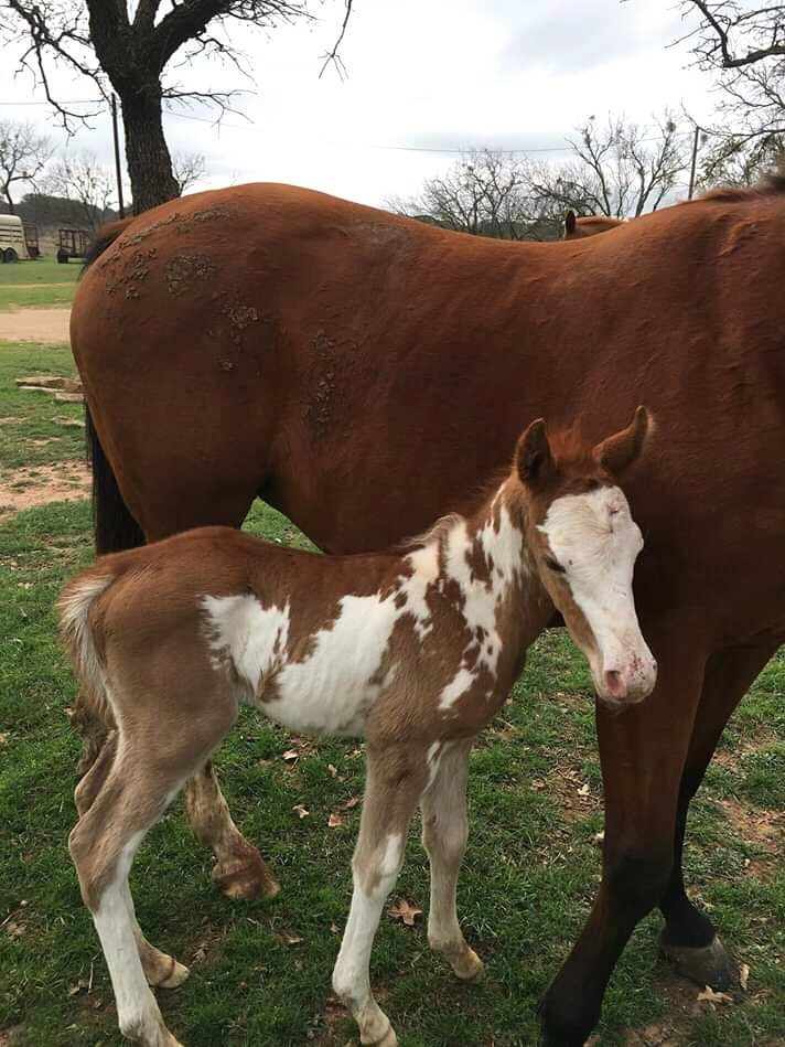 Scottish Melissa (@scottishmelissa) on Twitter photo 