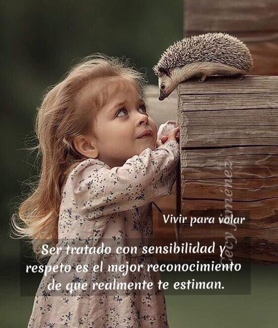Vivir para volar على تويتر: "Ser tratado con sensibilidad y respeto es el  mejor reconocimiento de que realmente te estiman.???????????? Being treated with  sensitivity and respect is the best recognition that you