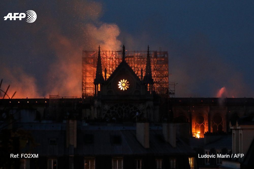 Agence France-Presse on Twitter